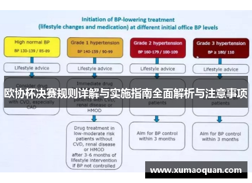 欧协杯决赛规则详解与实施指南全面解析与注意事项